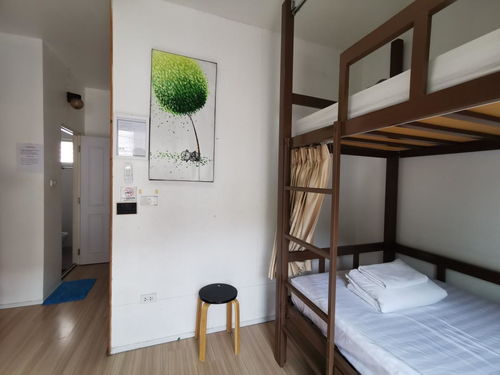 探索清邁新潮流 Bunk Boutique Hostel Chiang Mai雙層精品旅館，Agoda輕松訂房體驗